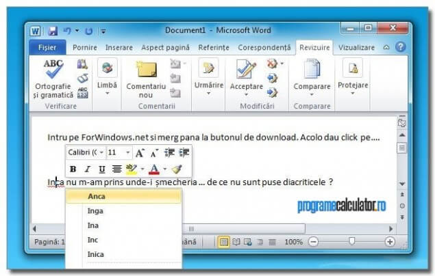 6-Corector-gramatical-Microsoft-Office-Professional-2010