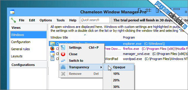 Chameleon Window Manager
