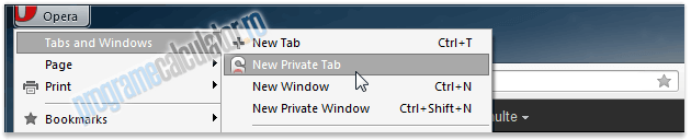 New Private Tab