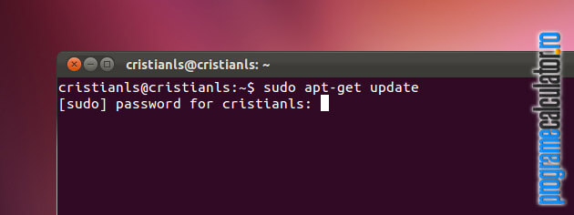 terminal Ubuntu: sudo apt-get update