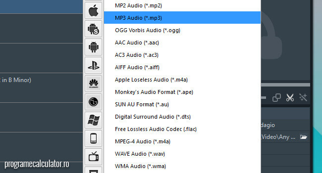 formate audio compatibile dispozitiv