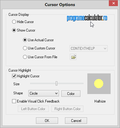 Optiuni cursor in CamStudio