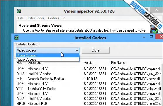 VideoInspector Codecuri